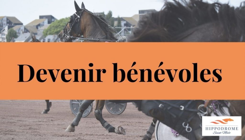 Hippodrome de SaintMalo Les courses hippiques, une passion à transmettre